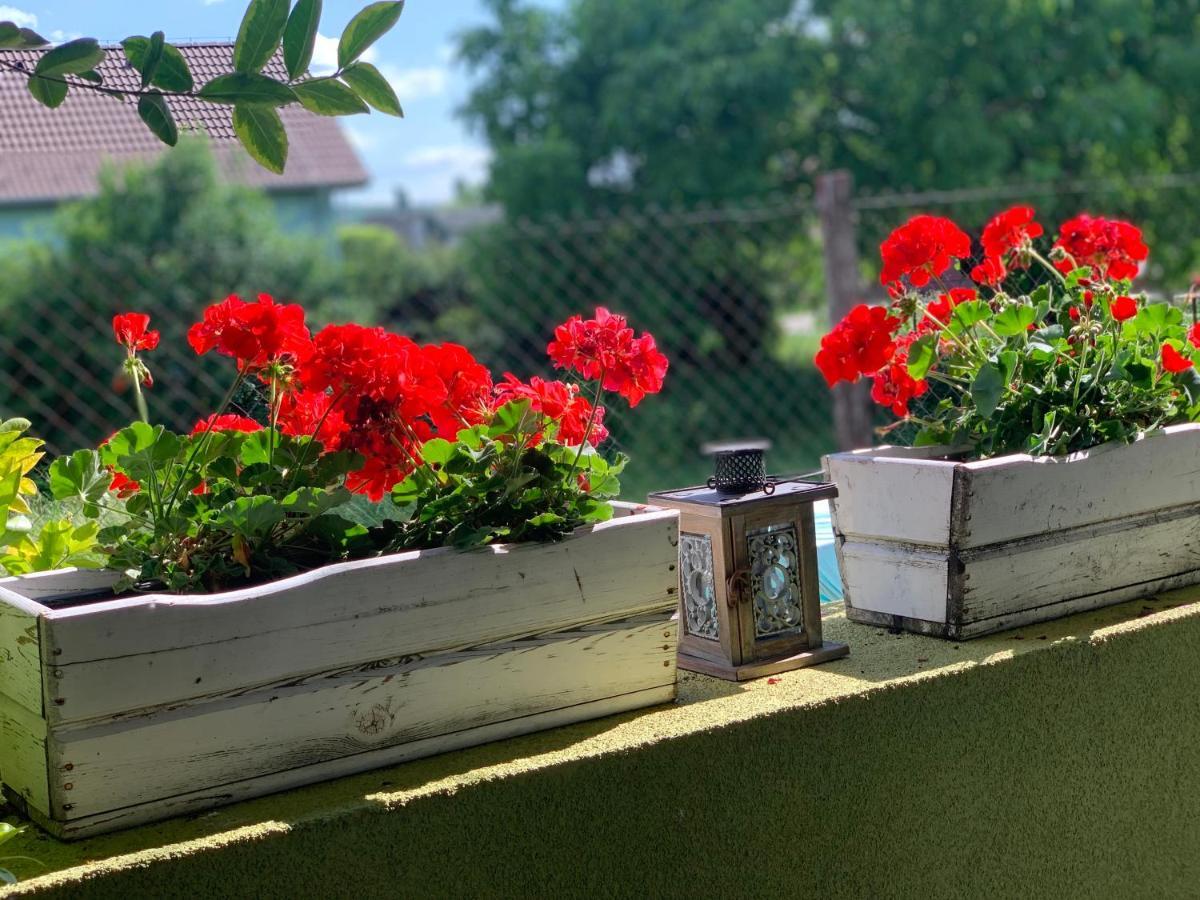 Apartmany Zeleny Dom Podhájska Buitenkant foto